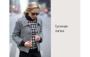 Принт "Гусиная лапка"