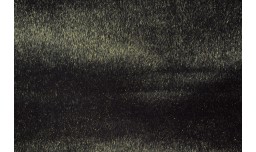 Нерпа 406/7 партія 1