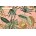 Льон Parma Принт 3/2-4