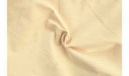 Коттон TWILL Плотный Одн 38-9
