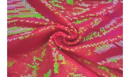 Паєтка на Сітці 1/7-1