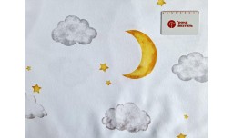 Фланель Турция Принт 240 см 98-1